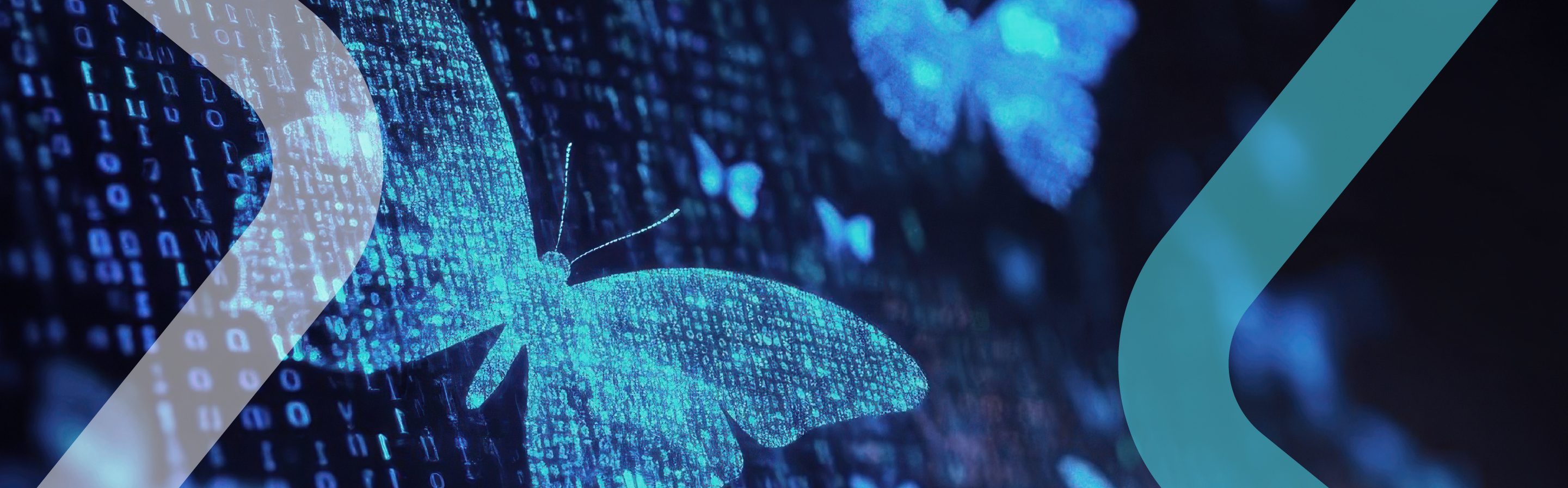 abstract digital transformation visualization glowing binary code morphing into butterfly silhouettes